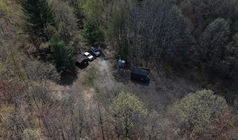 80 X Henry St, Alger, MI 48610