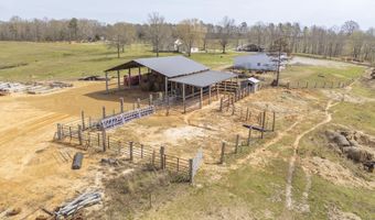 1896 PURDY BEAUTY HILL Rd, Bethel Springs, TN 38315