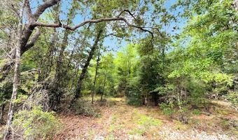 Broadview Avenue, Alford, FL 32420