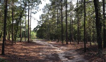 2631 Charlie Johnson Rd, Bethune, SC 29009