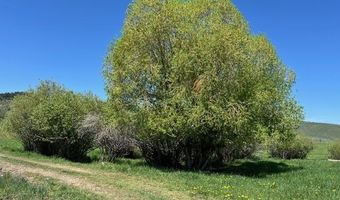 5002 FAIRVIEW SPG CRK Rd, Afton, WY 83110