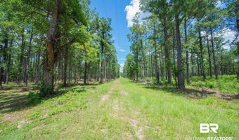 Hurricane Road, Bay Minette, AL 36507