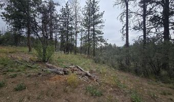 Partin Way 5, Beatty, OR 97621