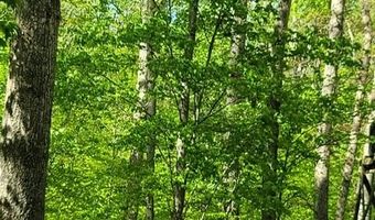 Barnes Road, Bardstown, KY 40004