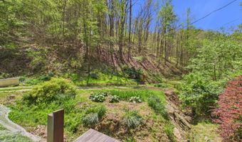 1000 Coon Fork Rd, Arnoldsburg, WV 25234