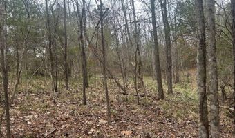 County Road 29, Alberta, AL 36720