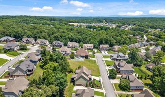 4217 Cripple Bush Ct, Apison, TN 37302