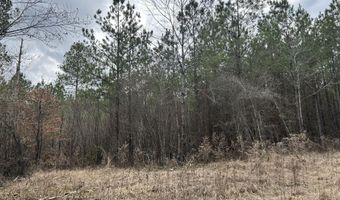 St. Johns Road, Braxton, MS 39044