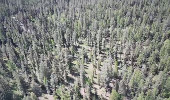 Nhn Black Wolf Trail, Bigfork, MT 59911