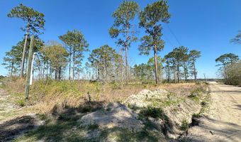 Golf Rd, Baxley, GA 31513