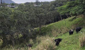 6469- L KAWAIHAU Rd, Kapaa, HI 96746