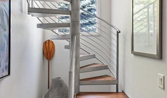 117 Neale Ave, Aspen, CO 81611