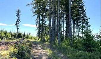 Tunnel Tract Parcel2, Banks, OR 97106