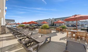 7888 Dune Dr, Avalon, NJ 08202