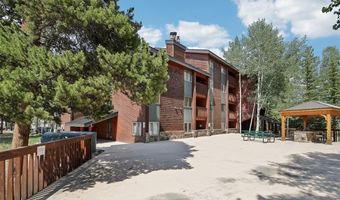 305 S Park Ave 303, Breckenridge, CO 80424