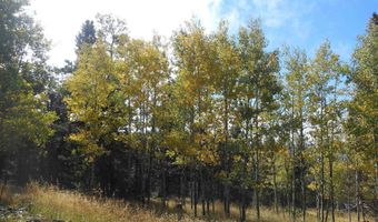 Lot 1287 El Camino Real, Angel Fire, NM 87710