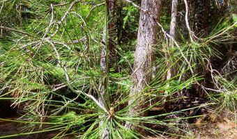 NKA Wandering Wolf Ridge Lot 3, Clark Fork, ID 83811