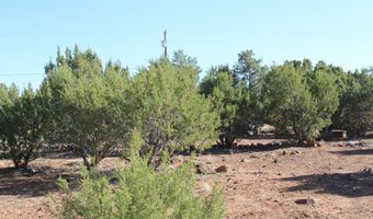 113 County Road 8092 Cedar, Concho, AZ 85924