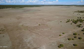 7 N CR 8171, Concho, AZ 85924