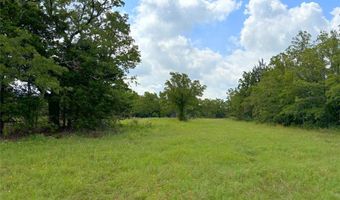 201 Halcyon Rd, Alvord, TX 76225