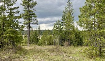 12 Ac Elizabeth Ln, Athol, ID 83801