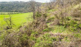 47691 E Captina Highway Rd, Alledonia, OH 43902