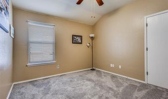 1617 Black Maple Dr, Anna, TX 75409