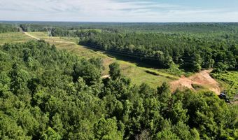 AL HWY 223, Banks, AL 36005