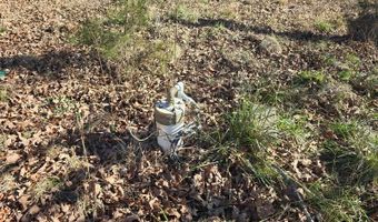 10 TBD Bates Arkansas, Bates, AR 72958