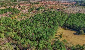 20616 NW 75TH St, Alachua, FL 32615