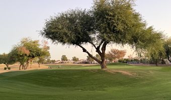 6450 S SPRINGS Pl, Chandler, AZ 85249