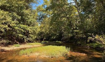 Coleman Mountain Road, Appomattox, VA 24522