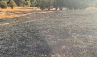 Knickerbocker, Ahwahnee, CA 93601