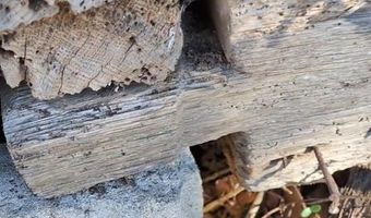 23514 FRONT St, Accomac, VA 23301