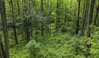 COUNTRY CREEK LN, Amissville, VA 20106