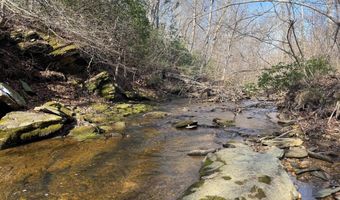 PAYNES POND RD, Arvonia, VA 23004