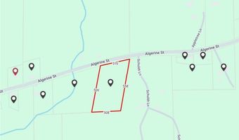 Algerine Street, Afton, NY 13730