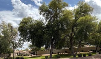 1314 W KINGBIRD Dr, Chandler, AZ 85286