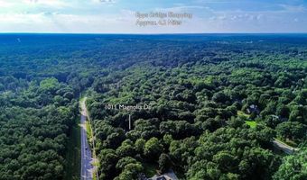 1011 Magnolia Dr, Athens, GA 30606
