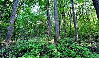 RICHARD ALLEN Street, Aquasco, MD 20608