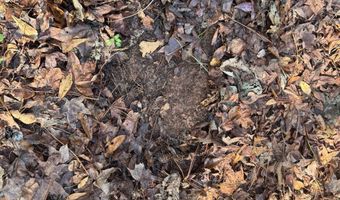 0 Scott Rd, Alexander City, AL 35010