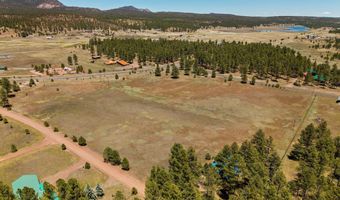 16 County Road 2089, Alpine, AZ 85920