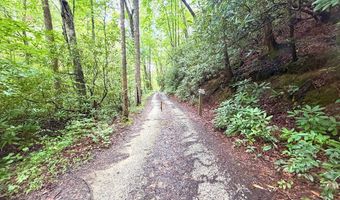 520 Calvin Cove Rd, Almond, NC 28702