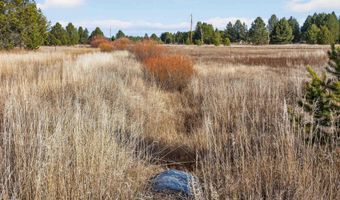 10201 Packsaddle Rd, Cascade, ID 83611