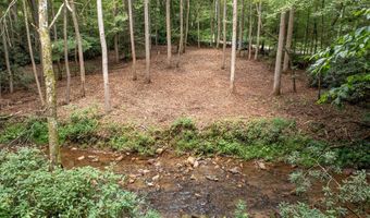 1034 Chestnut Flats Rd, Andrews, NC 28901