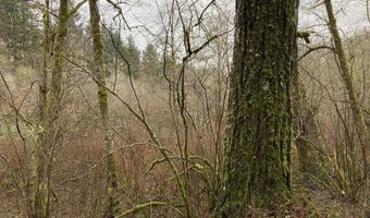 NE 197th Ct, Amboy, WA 98601