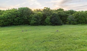 15390 Lewis Rd, Lexington, OK 73051