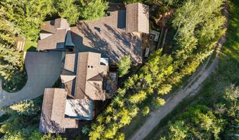 386 Pfister Dr, Aspen, CO 81611