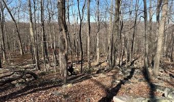 2 08 ACRES DEER PATH Rd, Augusta, WV 26704