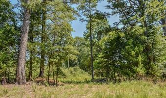 5 N Hall Rd, Antlers, OK 74523
